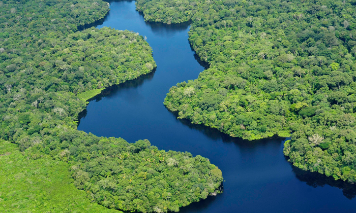 O Decreto Nº 9.142/2017 Não Revogou A Proteção Ambiental Na Amazônia